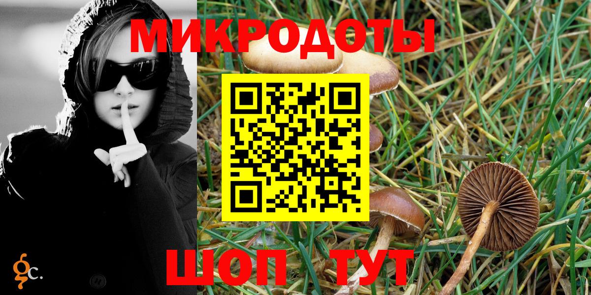 Шарыпово  Галлюциногенные грибы Psilocybine cubensis  Псилоцибиновые грибы Cubensis  Вход с VPN 
